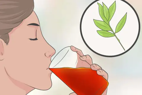 Donna beve una bevanda rossa, con un rametto di foglie verdi in un cerchio. Un aiuto per come digerire velocemente.