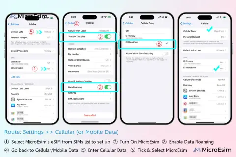 Configuration d'un esim instantané : activer la ligne, activer l'itinérance des données, puis sélectionner l'eSIM MicroEsim.