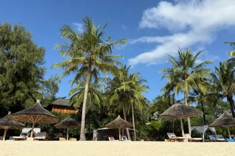 Rajska plaża na Zanzibarze z palmami, leżakami i słomianymi parasolami. Idealne miejsce na wymarzone wakacje.
