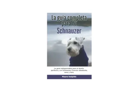 Un schnauzer mediano con un abrigo azul, posando para la portada de un libro sobre cómo ser un dueño perfecto.