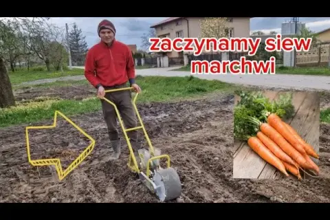 Jak zrobić redliny na działce - uniknij błędów i stwórz idealne rzędy