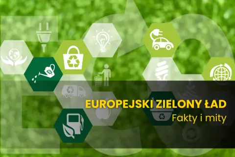Grafika przedstawia symbole związane z ekologią i zrównoważonym rozwojem, ilustrując, o czym mówi Europejski Zielony Ład: fakty i mity.