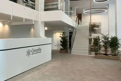 Recepción moderna de Ginefiv, clínica de reproducción asistida. Las opiniones sobre sus servicios son muy positivas.