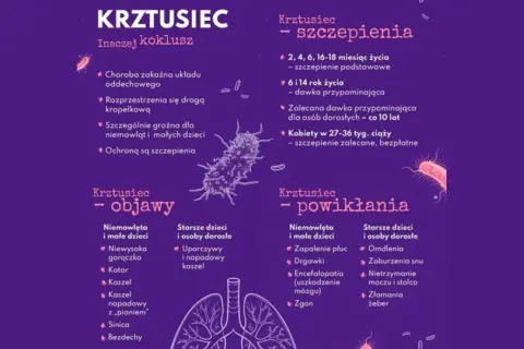 Informacje o krztuścu: objawy, powikłania i zalecenia dotyczące szczepień. Szczepionka na krztusiec chroni przed tą groźną chorobą.