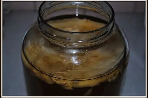 Szklany słój z kombuchą, widoczny SCOBY i płyn.