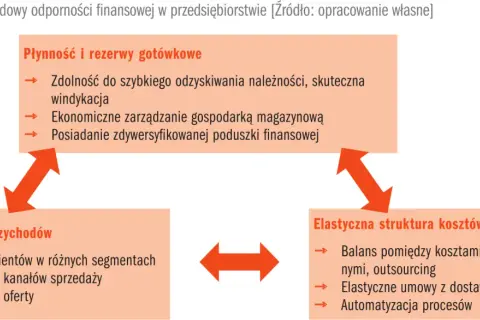 Trójkąt odporności finansowej: Płynność, Dywersyfikacja przychodów, Elastyczna struktura kosztów. Kluczowy jest kapitał zapasowy.
