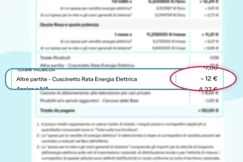 Dettaglio bolletta luce: "Altre partite - Cuscinetto Rata Energia Elettrica" con un costo di -12 €.
