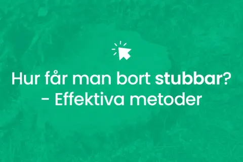 Hur får man bort stubbar? Effektiv metod för att ta bort stubbar.