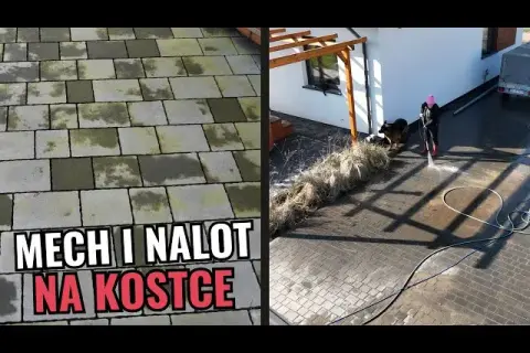Skuteczne sposoby na usunięcie zielonego nalotu z płotu bez chemii