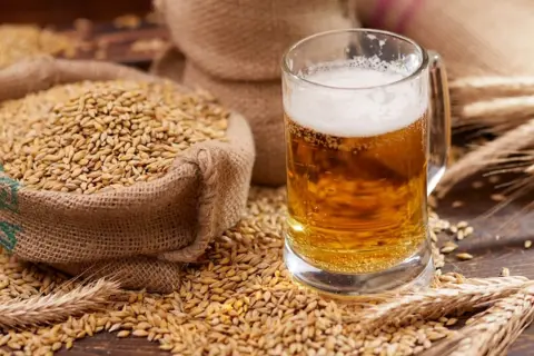 Boccali di birra dorata e sacchi di malto d'orzo, ingredienti essenziali per decidere se la birra è meglio alta o bassa fermentazione.