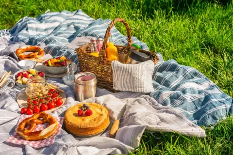 Picknickdecke mit Brezeln, Obst, Kuchen und Säften. Ein perfekter Tag für ein Picknick im Grünen.