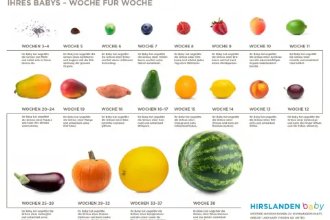 24 ssw welcher monat? Ihr Baby ist so groß wie eine Papaya und kann Ihre Stimme hören.