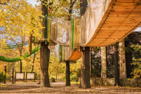 Drewniane kładki i siatki tworzą ścieżki w koronach drzew. Jesienny park linowy we Wrocławiu zaprasza do zabawy.