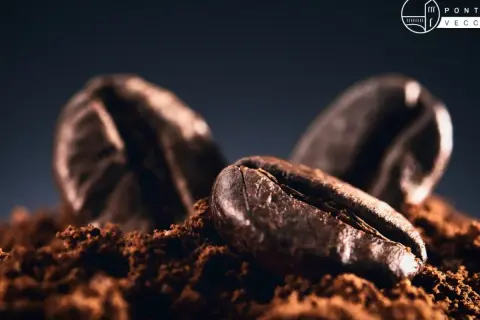 Chicchi di caffè tostati su polvere, un'immagine che evoca il miglior caffè al mondo.