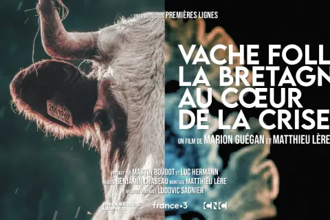 Gros plan sur une vache, avec le titre "Vache folle, la Bretagne au cœur de la crise". Une évocation de cette année difficile pour l'élevage.