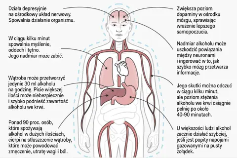 Alkoholizm to choroba psychiczna: Jak niszczy mózg i jak leczyć?