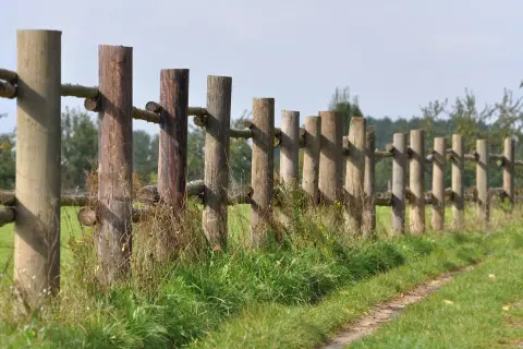 Drewniane słupki tworzą pełne ogrodzenie od sąsiada, oddzielając zieloną łąkę od drzew.