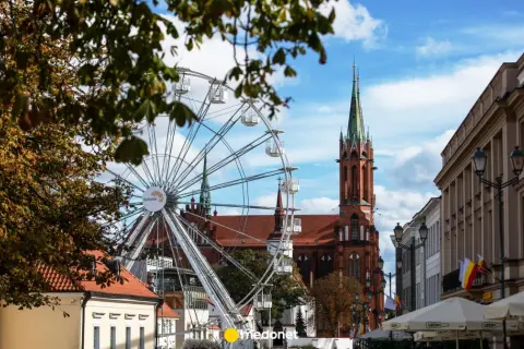 Ile lat żyje koń? Poznaj fakty i sekrety długowieczności