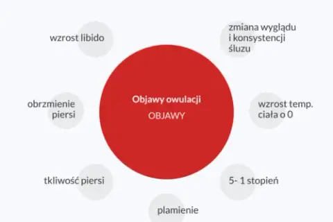 Nietypowe objawy owulacji: Czy Twoje ciało wysyła te sygnały?