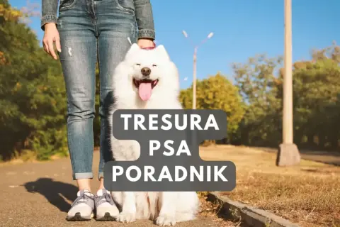 Szczęśliwy szczeniak i jego opiekun na spacerze. Poradnik "Tresura psa" pomoże Ci jak wychować szczeniaka.