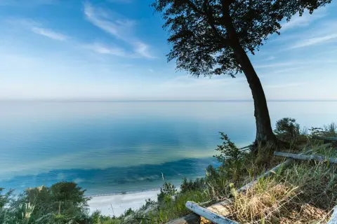 Widok na spokojne morze z klifu w Międzyzdrojach. Drzewo na pierwszym planie, plaża w oddali. Piękne międzyzdroje atrakcje.