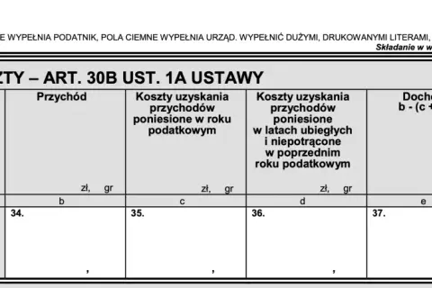 Formularz podatkowy E. DOCHÓD / KOSZTY. Wpisz tu przychody z kryptowalut, by obliczyć podatek od jakiej kwoty.