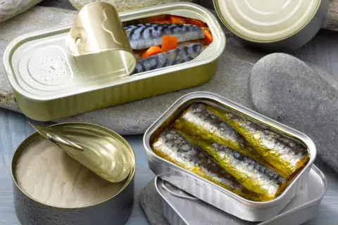 Boîtes de sardines ouvertes, riches en **sardine proteine**, sur des galets. Une conserve de poisson entier, une autre de filets dorés, et une troisième avec des morceaux de poisson et carottes.