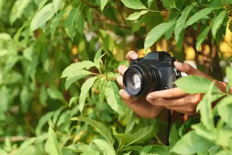 Dłonie trzymają aparat wśród zielonych liści. Czasem nawet najlepszy obiektyw może wprowadzić subtelną **aberrację**, ale natura zawsze zachwyca.