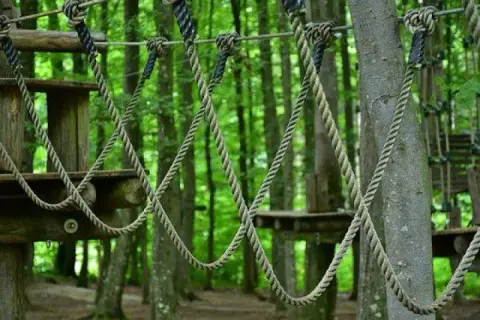 Park Linowy Opatowicka Wrocław: Ceny, trasy i tyrolka gotowi na start?