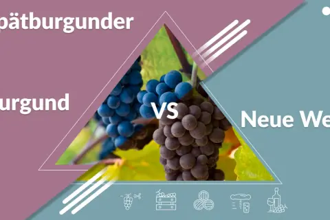 Spätburgunder: Burgunder vs. Neue Welt. Zwei Trauben, ein Wein.
