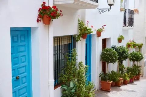 Un encantador pueblo indalo que ver: callejuela blanca con puertas azules, macetas con flores rojas y verdes, y árboles topiarios.