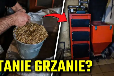 Jakie zboże do palenia? Odkryj najlepsze opcje i ich właściwości