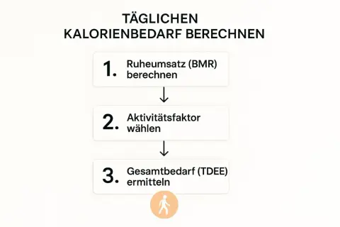 Schritt-für-Schritt-Anleitung zur Berechnung des täglichen Kalorienbedarfs. Hilft beim Abnehmen, indem man die benötigten Kalorien ermittelt.