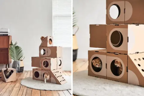 Domek dla kota z kartonu: Prosty przewodnik DIY i inspiracje