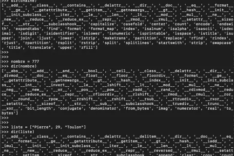 Code Python affichant les méthodes disponibles pour les chaînes de caractères, les nombres et les listes. Le mot-clé "trim" n'apparaît pas.