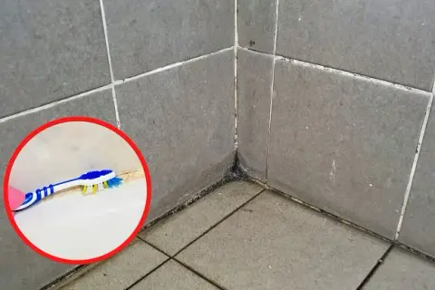 Czyste fugi bez wysiłku? Sprawdzone metody na brud i pleśń!