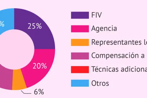 Gráfico circular muestra desgloses de cuanto cuesta un parto en España: FIV (25%), Agencia (20%), Compensación gestante (22%), Otros (18%), Técnicas adicionales (9%), Representantes legales (6%).