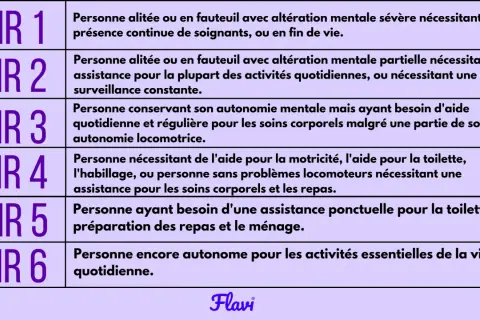 Tableau des GIR. La définition du GIR 5 indique une personne ayant besoin d'une assistance ponctuelle pour la toilette, la préparation des repas et le ménage.