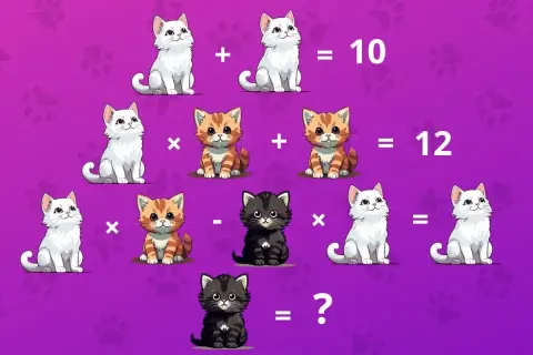 Zagadka matematyczna z kotami. Biały kot + biały kot = 10. Pomarańczowy kot x pomarańczowy kot + pomarańczowy kot = 12. Biały kot x pomarańczowy kot - czarny kot x biały kot = ?. Ile iq ma kot?