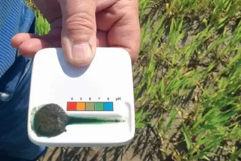 Test gleby w polu. Dłoń trzyma tester pH, pokazujący wynik. To kluczowe, jak sprawdzić pH gleby dla zdrowych roślin.