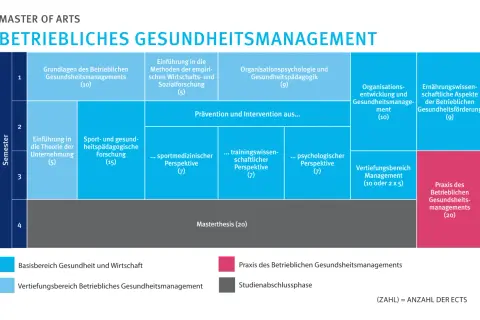 Struktur eines Masterstudiums im Betrieblichen Gesundheitsmanagement mit Modulen wie Prävention, Sportpädagogik und Praxis.