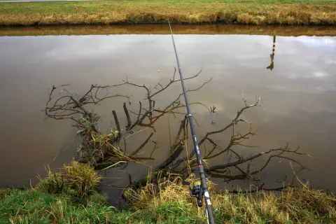 Eine Angelrute mit Rolle liegt am Ufer, bereit für die stellfischrute montage. Im trüben Wasser treiben Äste.