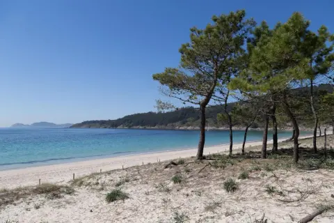 Arena blanca y aguas turquesas en la **areabrava cangas**, con pinos que bordean la costa y colinas verdes al fondo.