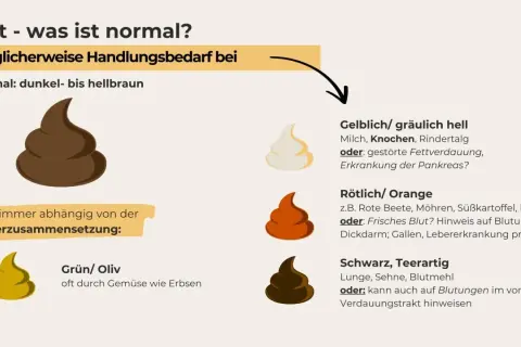 Hund Kot: normal ist dunkelbraun. Rötlicher Kot kann auf frisches Blut im Stuhl hinweisen, was tierärztliche Abklärung erfordert.