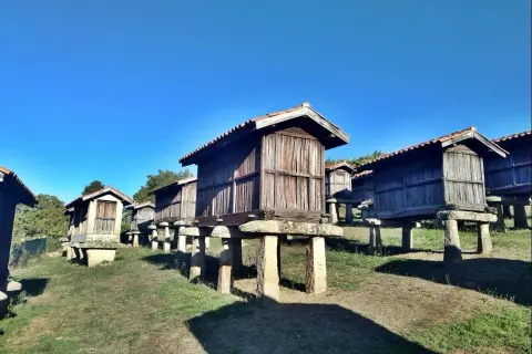 Fila de hórreos de madera sobre pilares de piedra, un paisaje rural típico de Galicia.