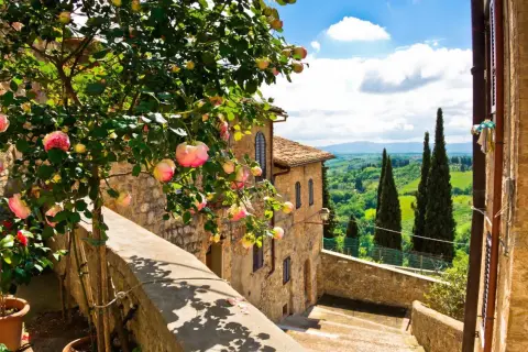 Vacker rosenträd med rosa blommor framför ett stenhus i Toscana. Perfekt för en resa till Toscana tips.