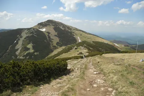 Szlak prowadzi na szczyt Velký Kriváň. Po drodze widać kosodrzewinę i resztki śniegu.