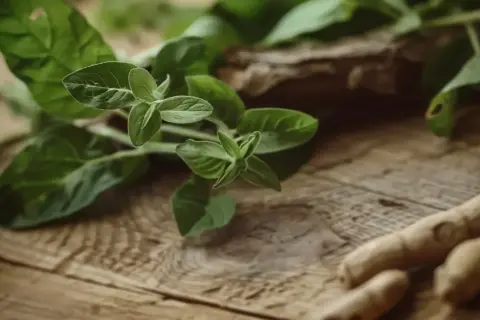 Gałązki z zielonymi liśćmi i korzenie, być może ashwagandha, na drewnianym tle. Mogą wspierać tarczycę.