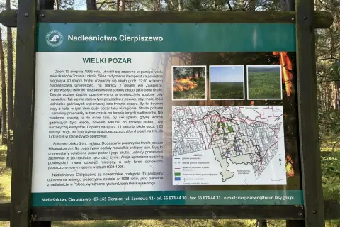 Tablica informacyjna Nadleśnictwa Cierpiszewo o wielkim pożarze lasu. Mapa pokazuje trasy rowerowe Toruń i okolice.