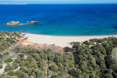 Rajska plaża na Krecie Wschodniej z palmami i skalistymi wysepkami. Idealne miejsce na relaks i odkrywanie lokalnych atrakcji.